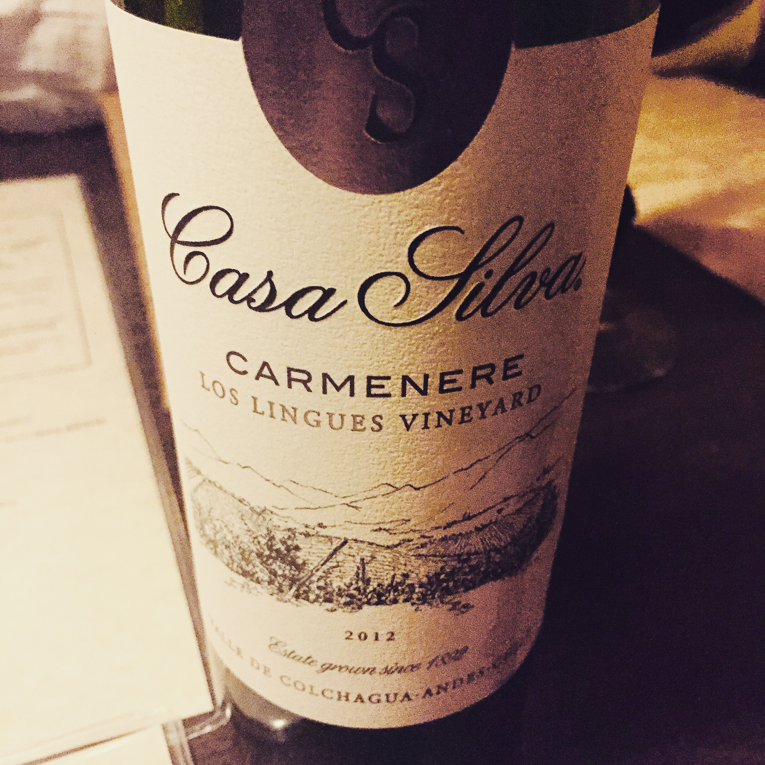 Casa Silva Carmenere wine